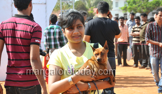 Dog show in Mangalore